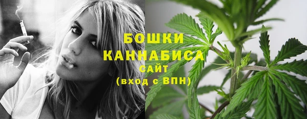МДПВ Лихославль