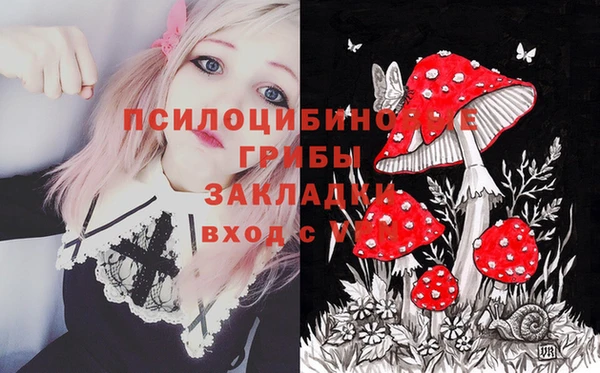 СК Лагань